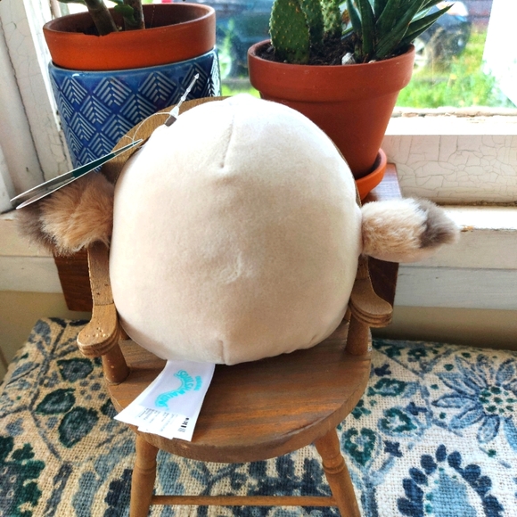 5" Deniz the Pelican Squishmallow - Picture 5 of 8